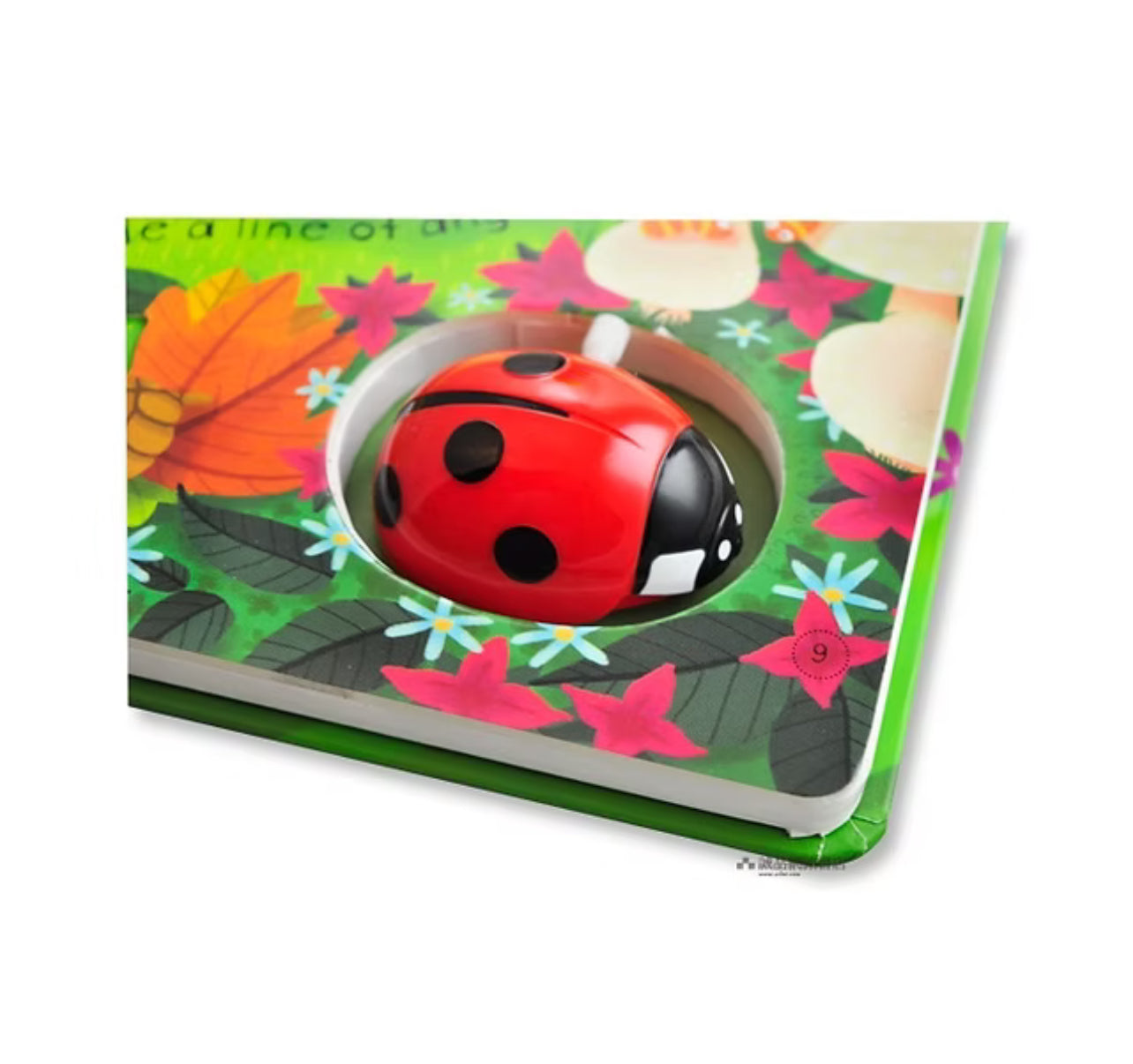 Ladybird  كتاب متحرك