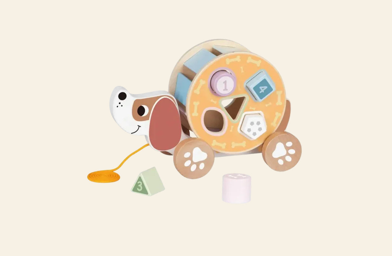 كلب فعاليات وجر خشبي