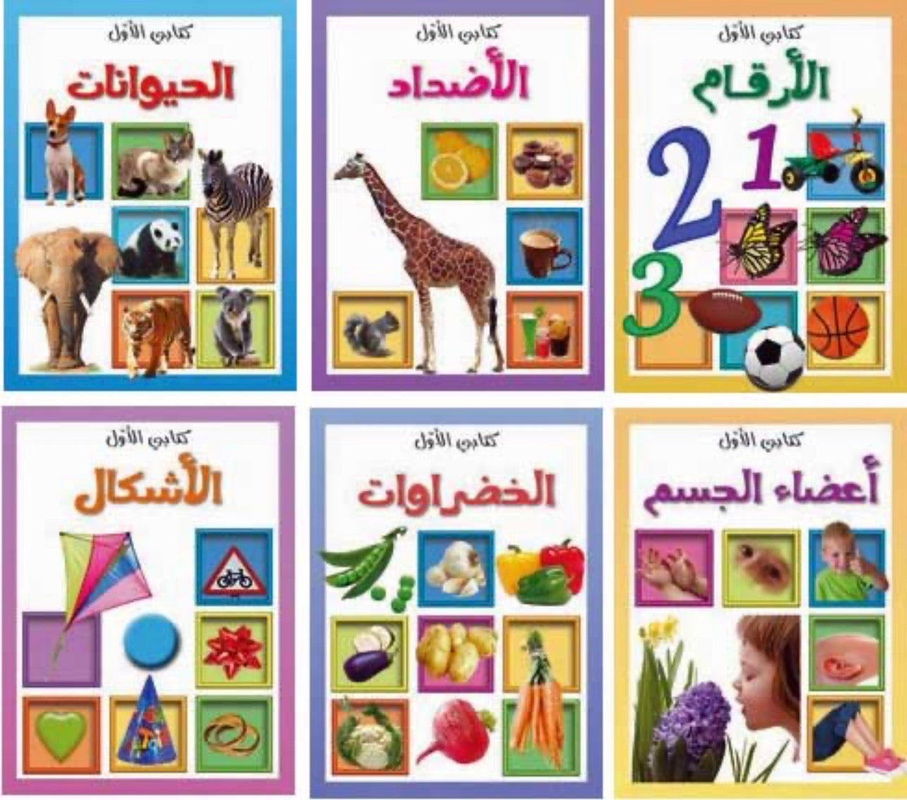 كتبي الاولى عربي انجليزي ازرق