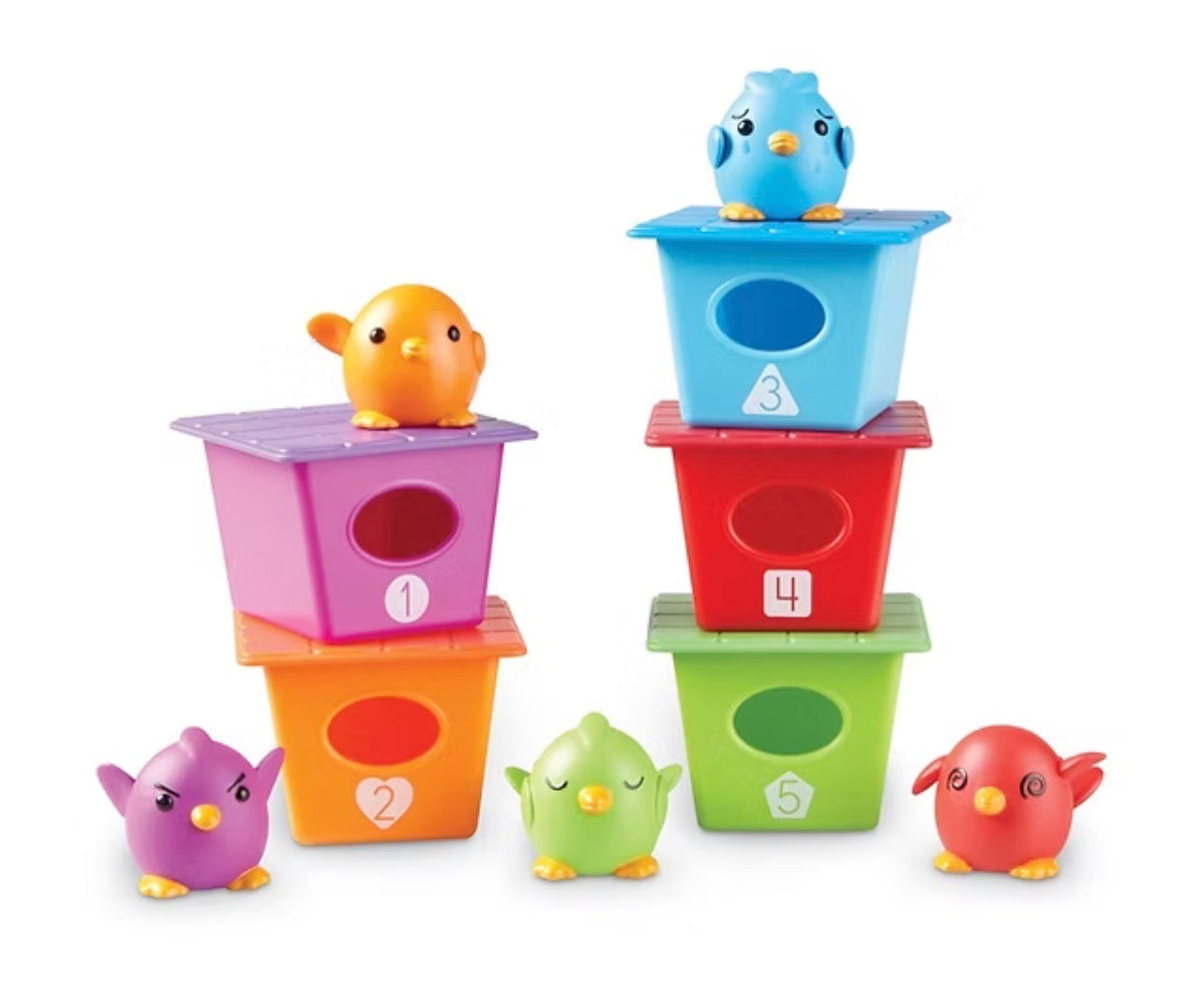 طيور ومنازلها