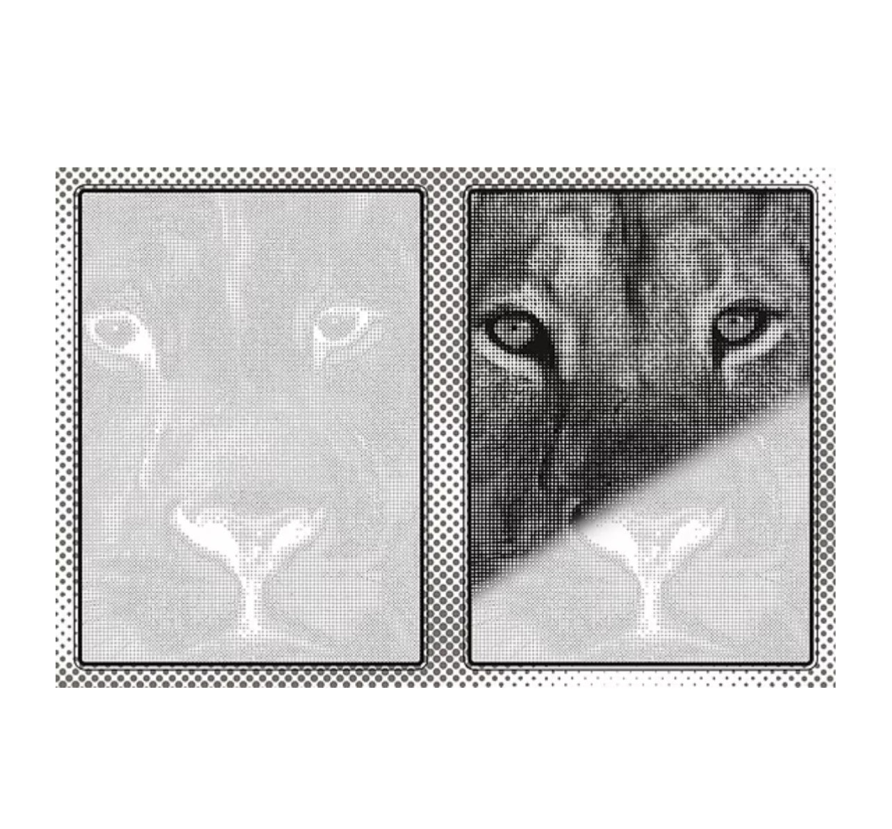 دفتر تلوين بالرصاص