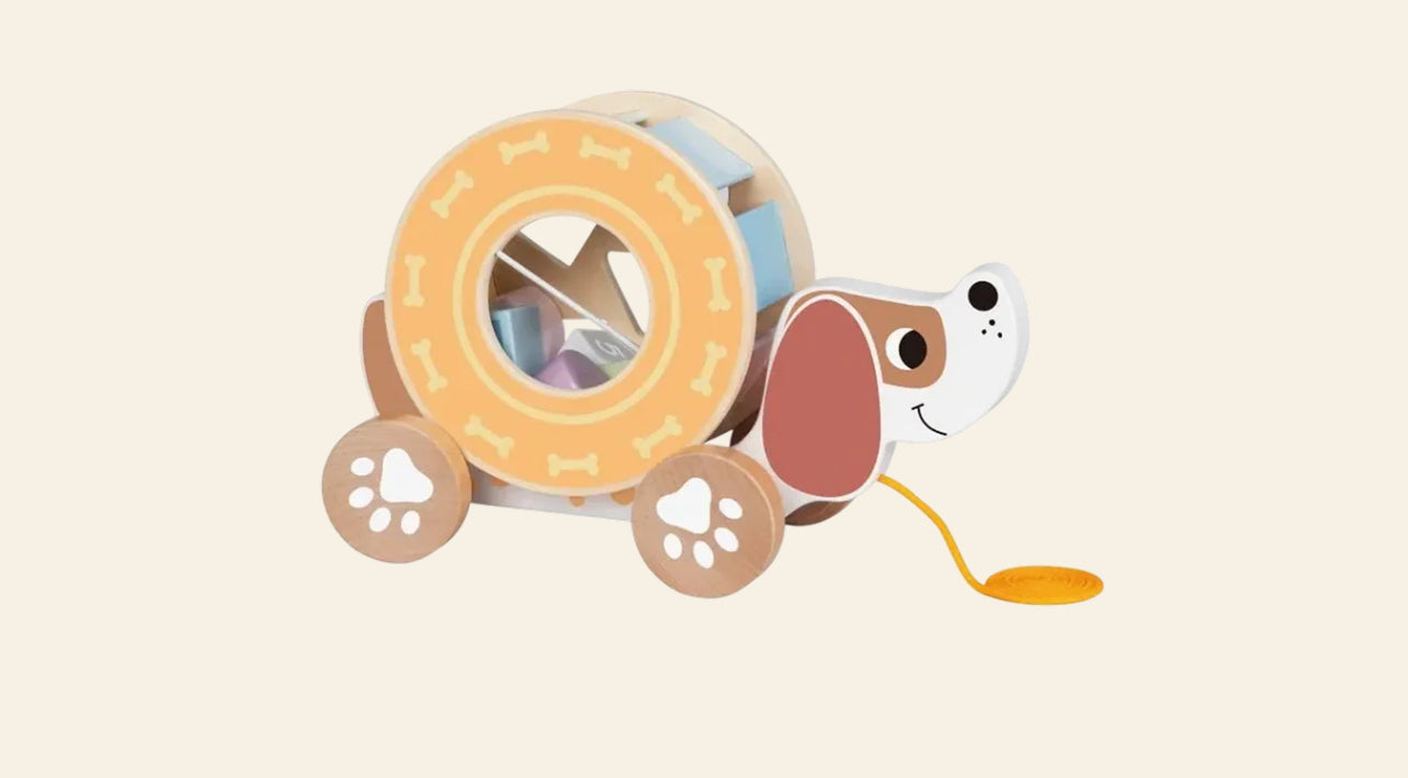 كلب فعاليات وجر خشبي