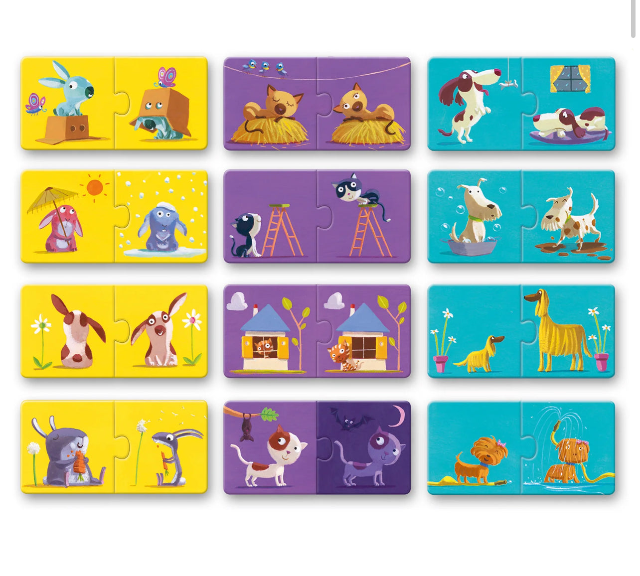 بازل الاضداد قطعتين