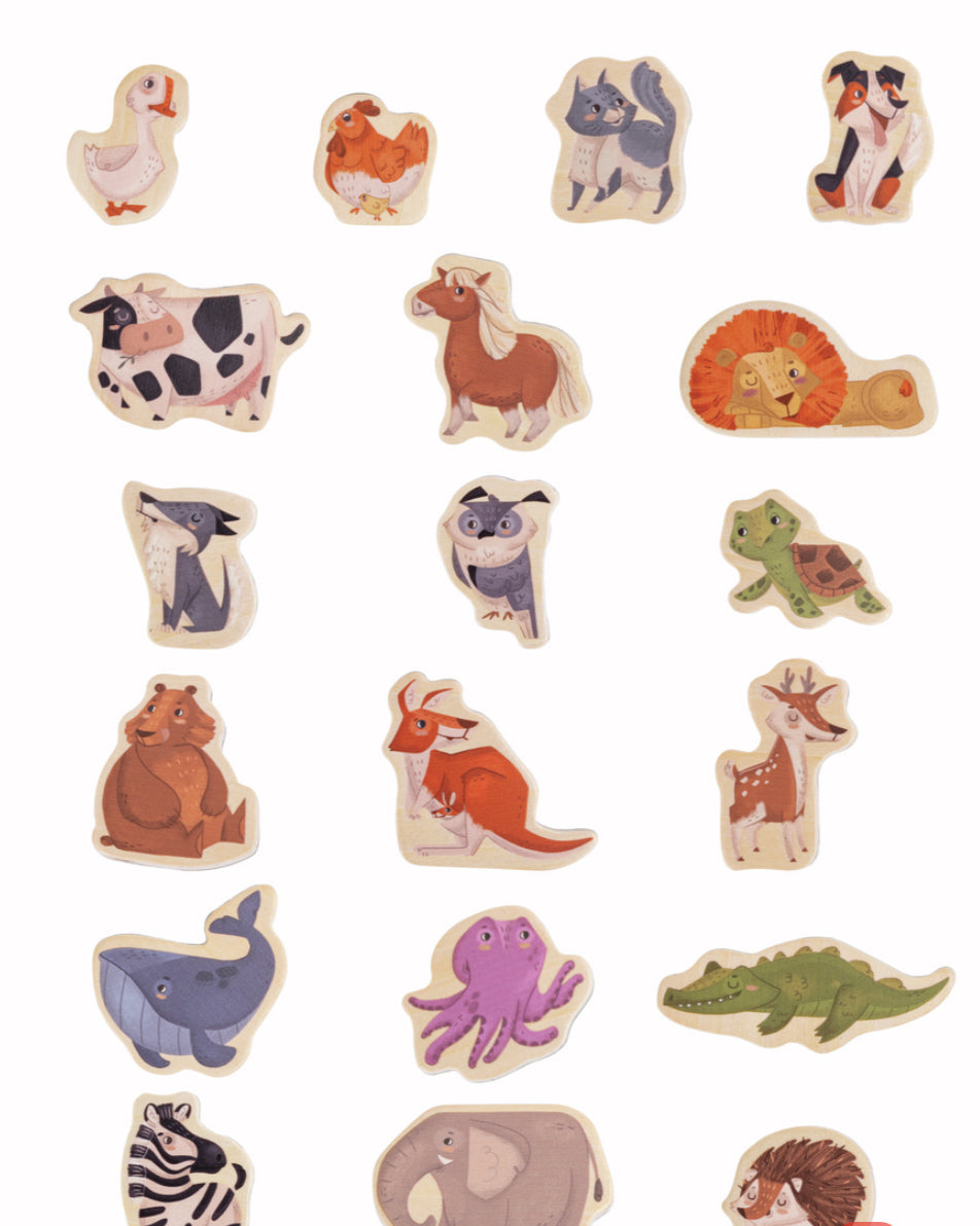 حيوانات مغناطيسية