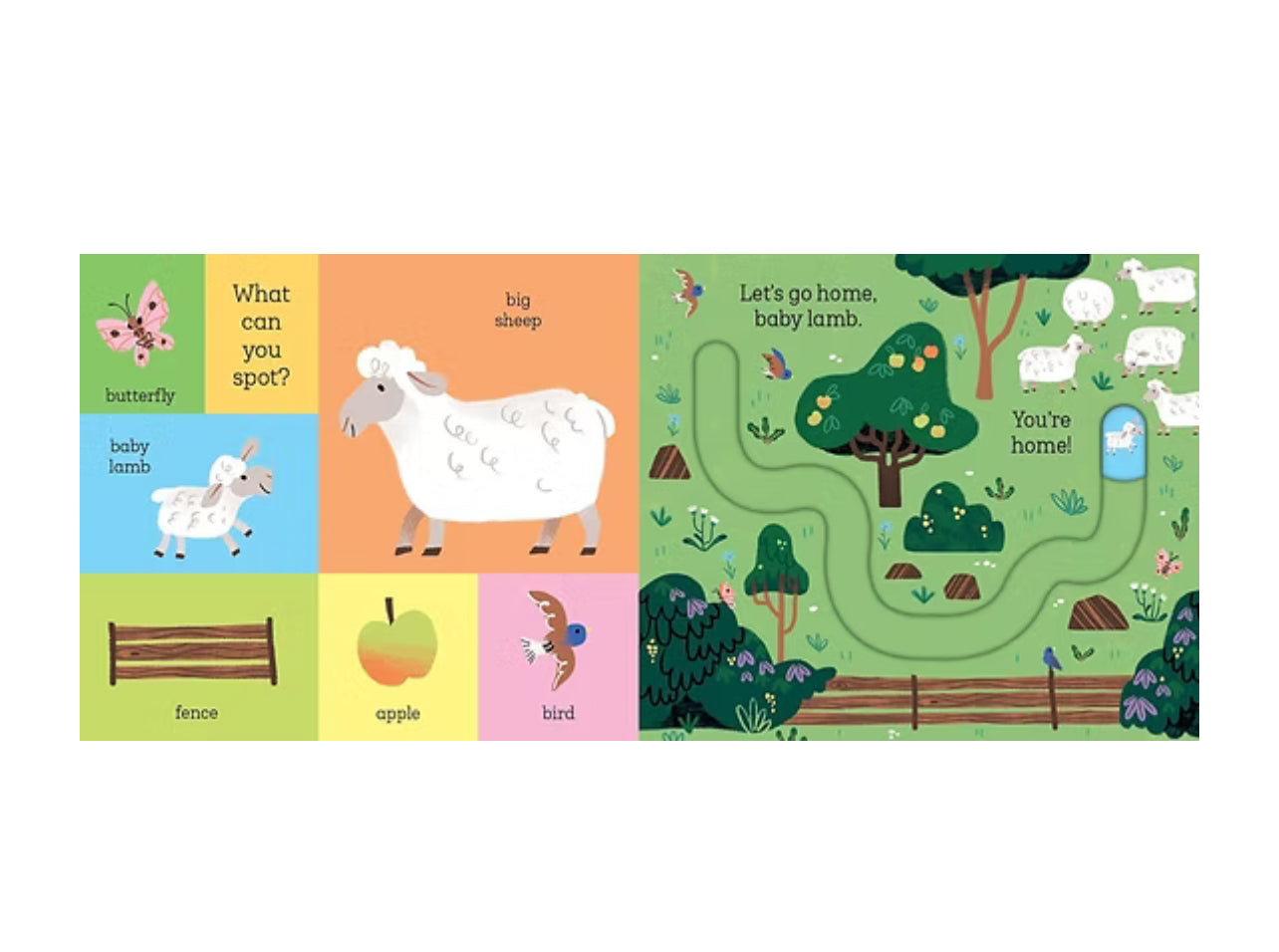 Baby chick كتاب تتبع مسار