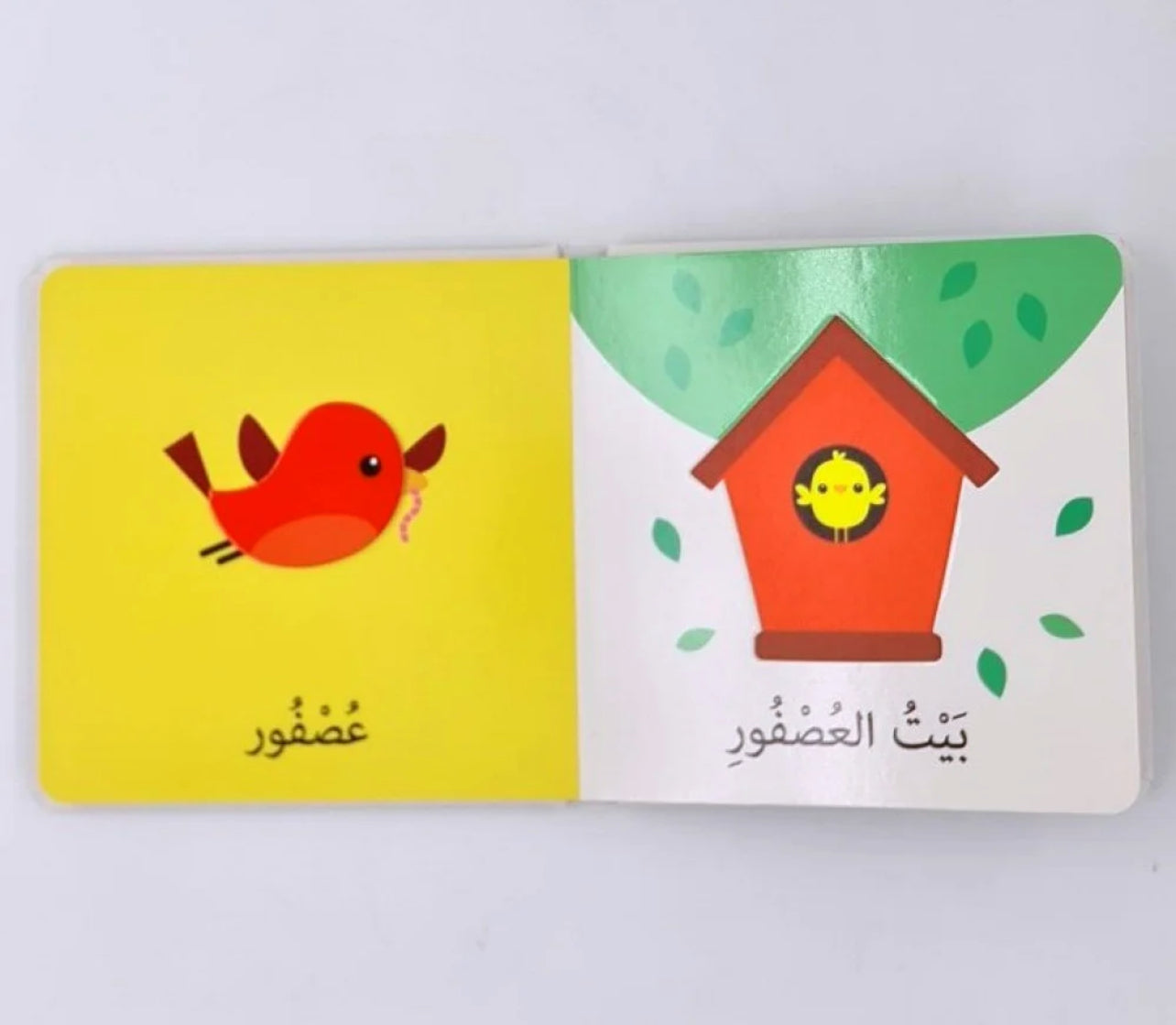 اكتشافات الايدي الصغيرة الحيوانات