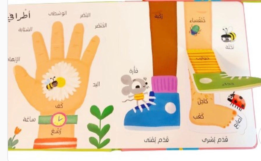 اول ١٠٠ كلمة - جسمي