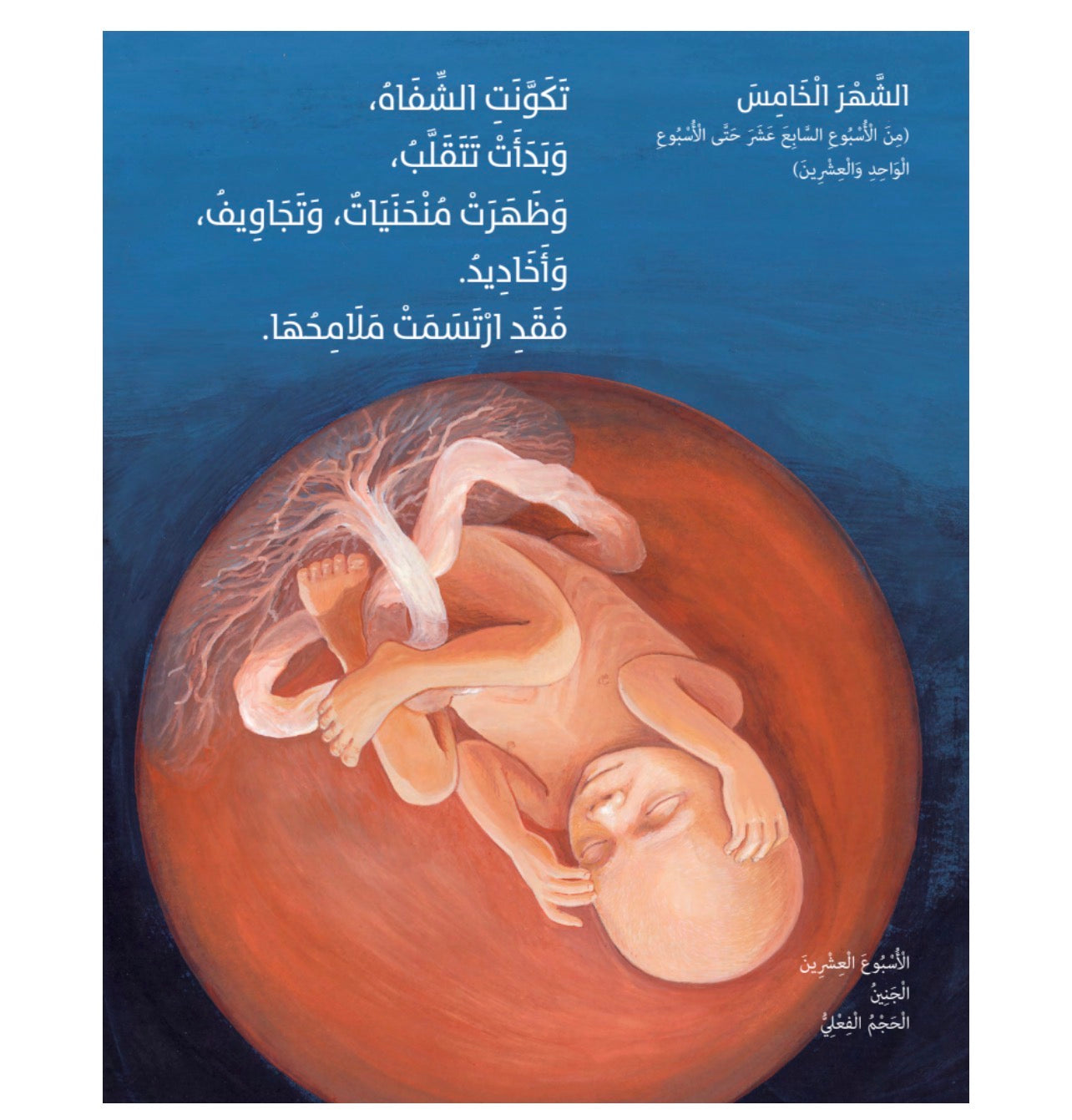 قصة تسعة أشهر قبل الولادة