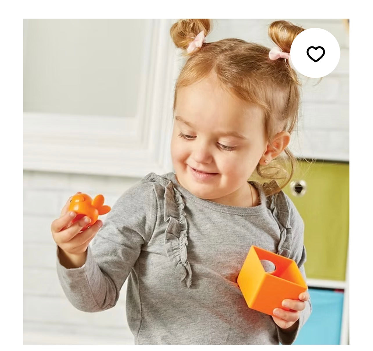 طيور ومنازلها