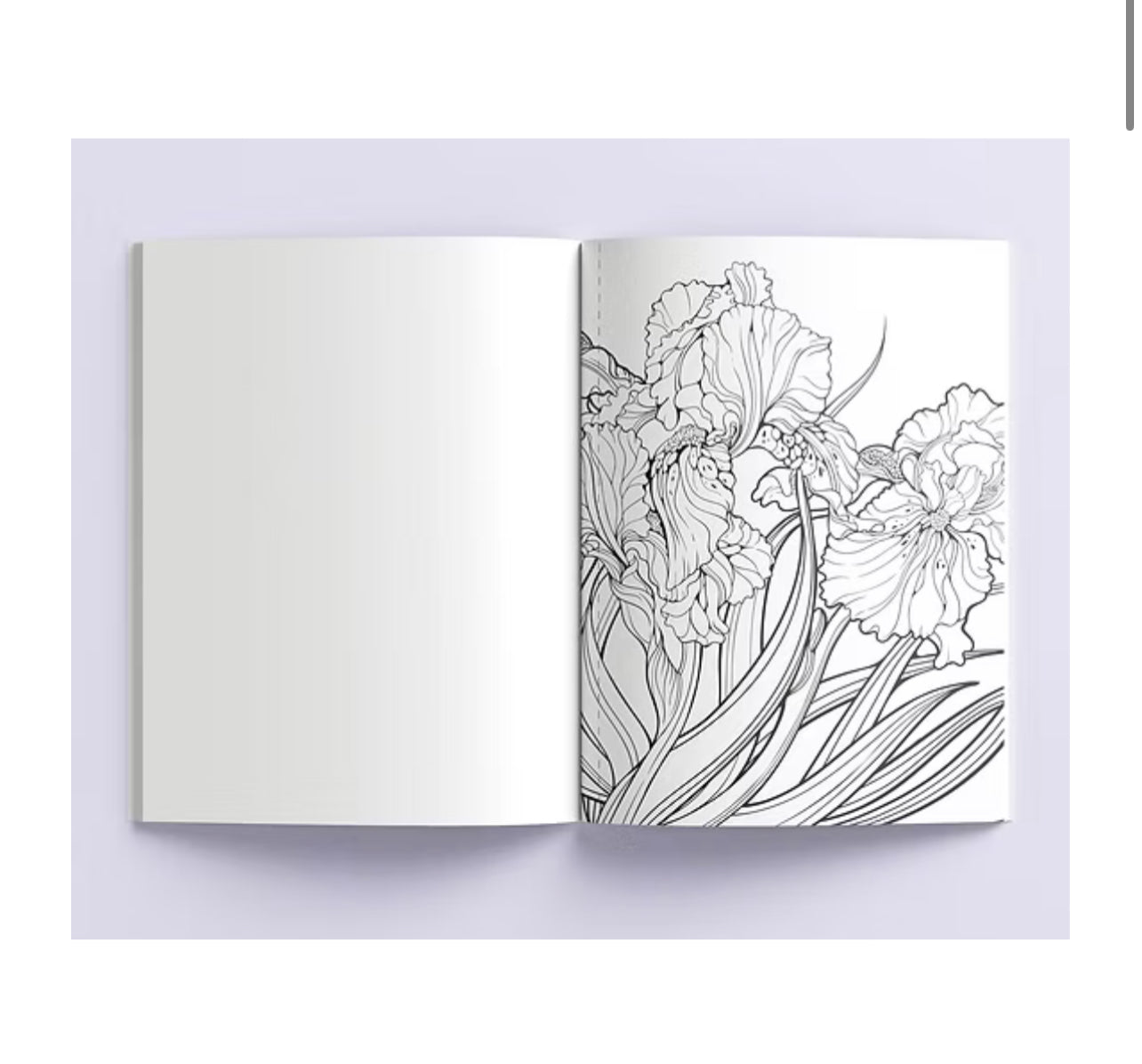 دفتر تلوين Spring florals