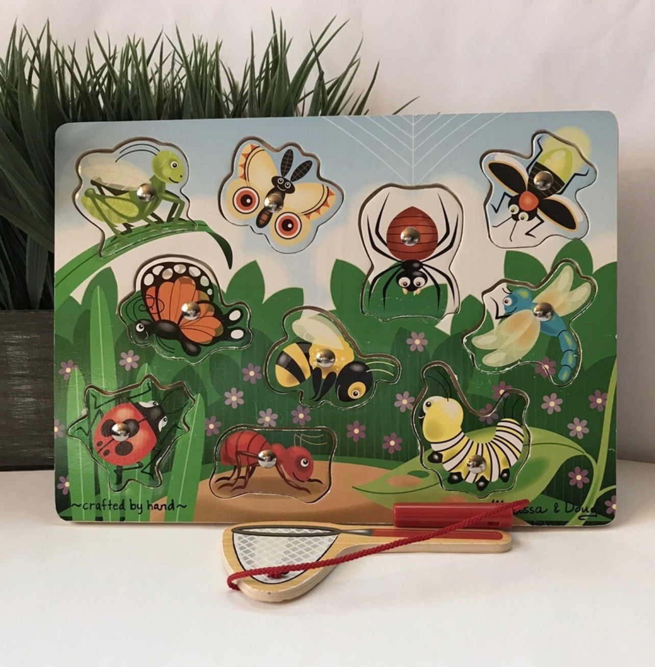 بازل صيد الحشرات المغناطيسية