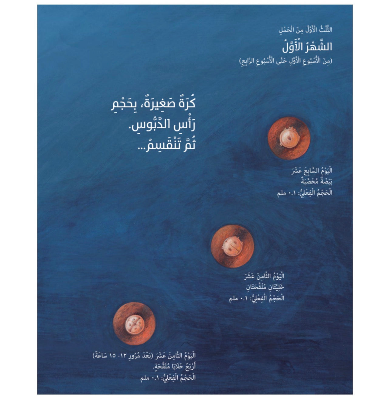 قصة تسعة أشهر قبل الولادة