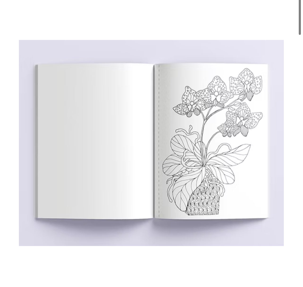 دفتر تلوين Spring florals