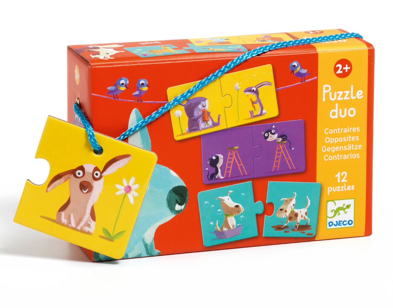 بازل الاضداد قطعتين