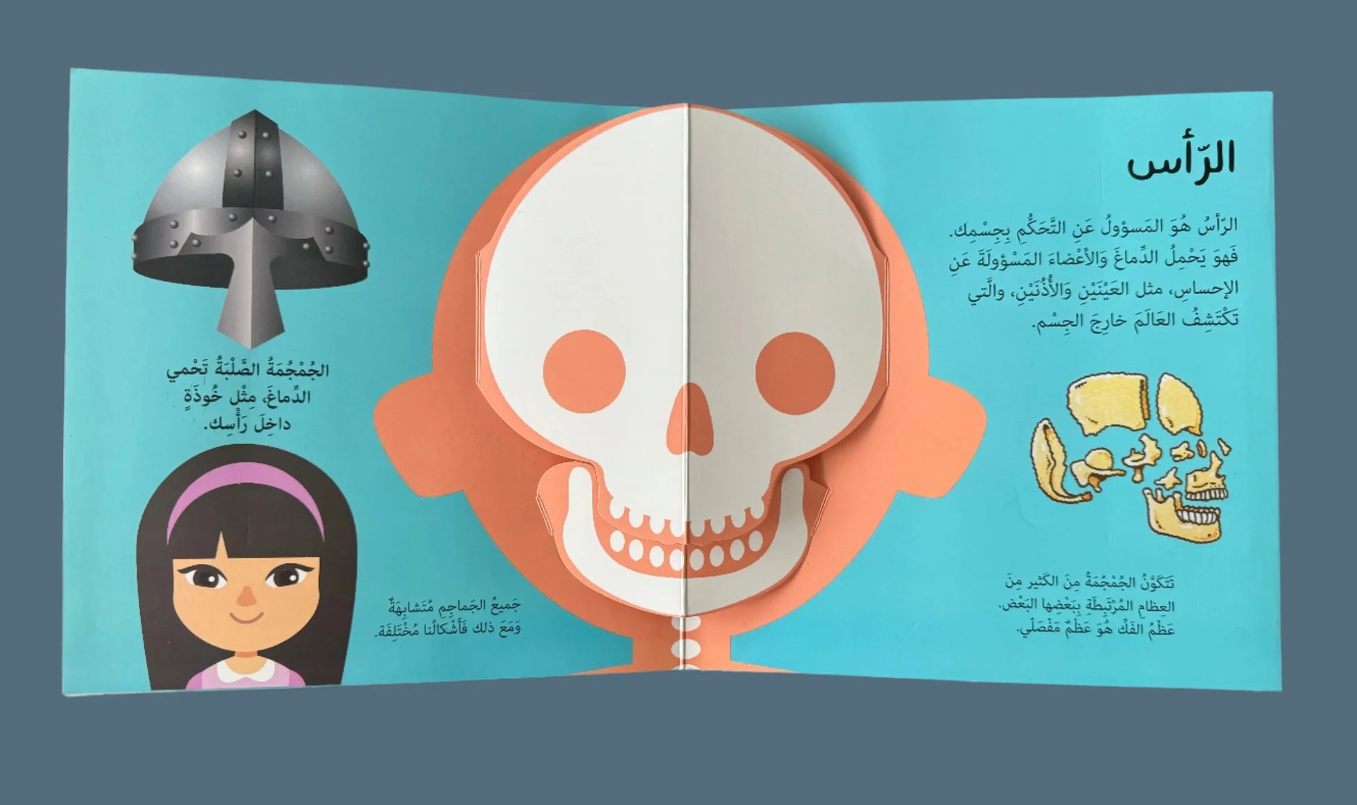 جسم الانسان مع نوافذ